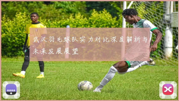 武汉羽毛球队实力对比深度解析与未来发展展望