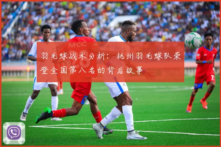 羽毛球战术分析：杭州羽毛球队荣登全国第八名的背后故事