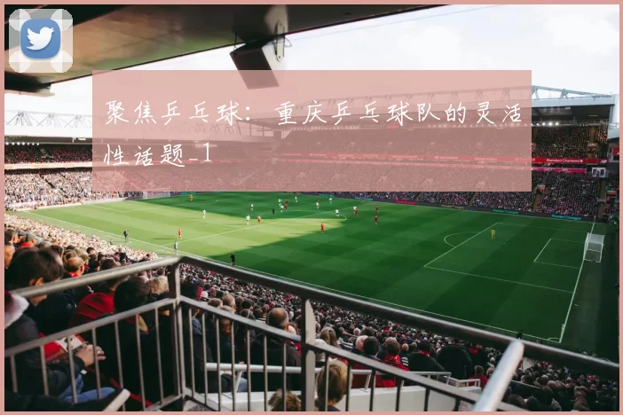 聚焦乒乓球：重庆乒乓球队的灵活性话题_1