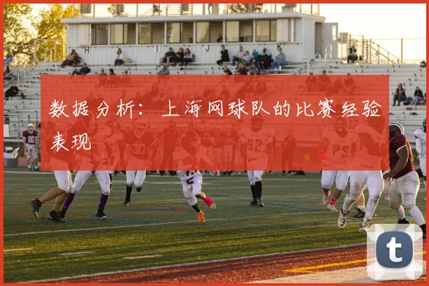 数据分析：上海网球队的比赛经验表现
