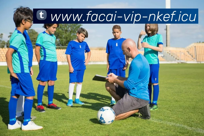 星空体育平台生态图